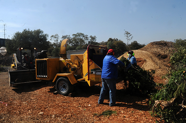 Reaprovecha UNAM residuos para producir composta y regenerar los suelos