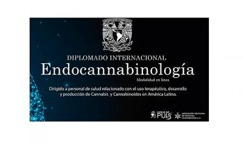 Formación sobre uso medicinal de cannabis con perspectiva científica integral