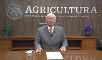 El sector cárnico nacional, ejemplo de productividad, integración e innovación: Agricultura