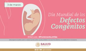 Consumo de ácido fólico 3 meses antes del embarazo puede prevenir defectos congénitos