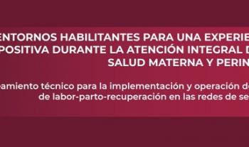 Publica Salud lineamiento sobre salas de labor de parto y recuperación