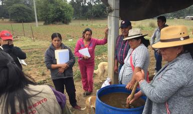 Producción para el Bienestar, el programa que más apoya a mujeres en el sector rural