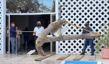 INAH recupera ancla histórica en Progreso, Yucatán