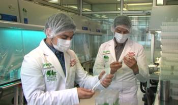 Reforzará convenio entre INIFAP e IPN investigación y conocimiento sobre el campo mexicano