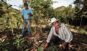 Reducir la quema agropecuaria en 40 por ciento, meta de Agricultura para 2024