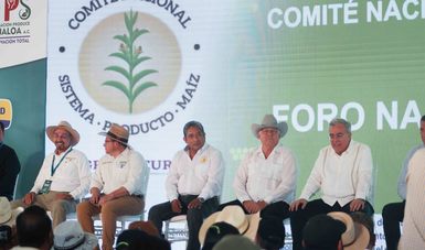 Convoca Agricultura a cerrar filas en producción y comercialización de maíz, ante impactos externos