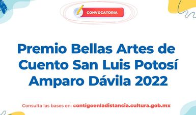 Convocan a escritoras y escritores al Premio Bellas Artes de Cuento San Luis Potosí Amparo Dávila 2022