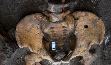 En Puebla, arqueólogos hallan entierros humanos asociados a la Intervención Francesa