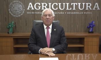 México, referente mundial en el cultivo y exportación de jitomate: Agricultura