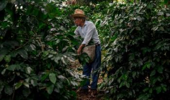 Publica Agricultura Reglas de Operación 2022 de Producción para el Bienestar