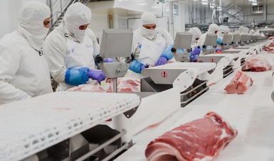 Crece 2.0 producción de carne de cerdo en México, impulsada por estándares de sanidad e inocuidad