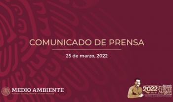 ¿Dónde estaban los pseudoambientalistas cuando hace años empezó la verdadera devastación del sureste de México?