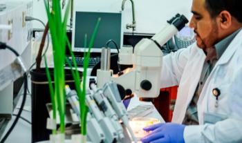 Convoca Agricultura al Premio Nacional de Sanidad Vegetal 2022