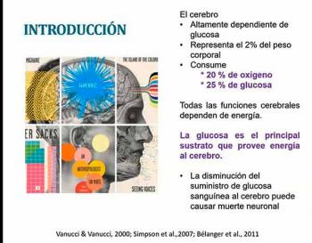 Descartan muerte neuronal por hipoglucemia recurrente