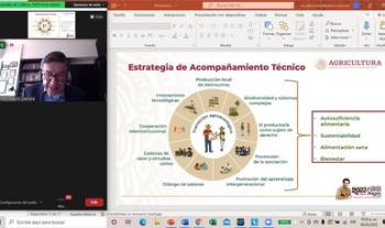 Viable producir con rendimientos mediante prácticas agroecológicas y libres de glifosato