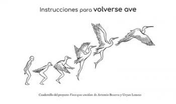 El Museo de Arte Moderno presentará Cerro de agua. Laboratorio de investigación / creación artística