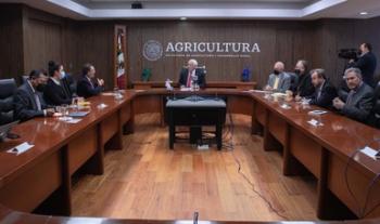Citricultura, actividad de alta prioridad para la Secretaría de Agricultura