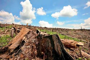 Planeación sustentable del campo para mitigar cambio climático y pérdida de biodiversidad