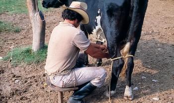 Anuncia Agricultura incremento en precio de garantía de leche fresca, en beneficio de pequeños ganaderos del país