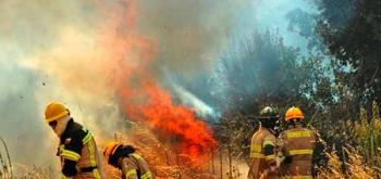 Llaman a evitar incendios para disminuir contingencias ambientales