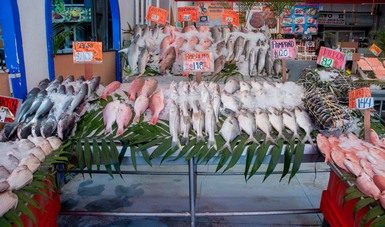 Productores aseguran abasto de pescados y mariscos para Semana Santa en todo el país