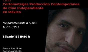 “Arte de los pueblos de México. Disrupciones indígenas” cerrará con un ciclo de cine y un programa especial