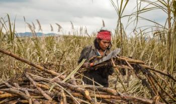 Entrega Producción para el Bienestar apoyos directos para más de 1.7 millones de productores de pequeña y mediana escala