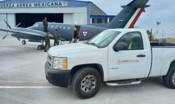 Logra bombardeo de nubes recarga de acuíferos y combate de incendio en Nuevo León