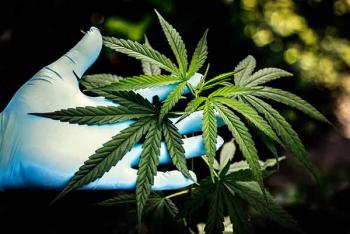 Analizan uso lúdico de cannabinoides en México