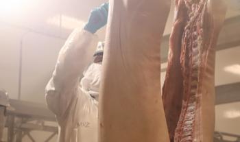 Avala Cuba 30 plantas Tipo Inspección Federal para exportar carne de cerdo, res y ave