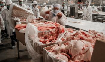 Incrementa México exportación de cárnicos de porcino a Estados Unidos