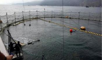 Establece Agricultura veda temporal para la pesca de atún para los años 2022 a 2024