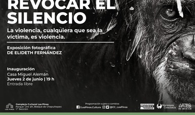 Llega al Complejo Cultural Los Pinos la exposición “Revocar el Silencio. La Violencia, Cualquiera que sea la Víctima, es Violencia”