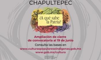 ¡Atención, cocineras y cocineros! Se amplía la fecha para concursar en ¿A qué sabe la patria?