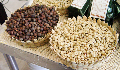 Nueva era en evaluación de precios del café beneficiará a productores y consumidores: Agricultura