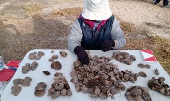Hallazgo de entierro complementa información sobre milenarias prácticas funerarias en El Conchalito, en BCS