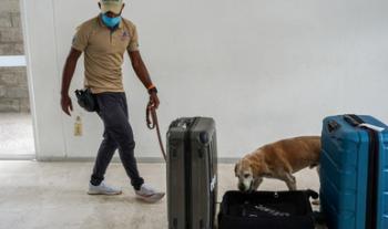 Capacita Agricultura a primeros instructores caninos de Honduras y Nicaragua