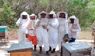 Aumenta 25 por ciento producción de miel en cinco estados, con programa zoosanitario de Agricultura