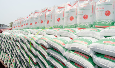 Inicia Agricultura entrega de fertilizante gratuito para agricultores de pequeña escala en Morelos