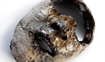 Dar visibilidad a mujeres en condiciones de reclusión, objetivo de “Sutil condena” exposición del artista Rodrigo Saltijeral