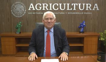 Impulsa Agricultura reconocimiento de la Milpa Maya como Patrimonio Agrícola Mundial