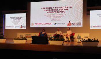 Colaboración entre agentes aduanales y Senasica permite el despacho de mil 800 operaciones comerciales diarias