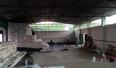 Inicia entrega de fertilizante gratuito a productores de Chiapas y Oaxaca