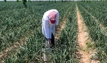 Avanzan acciones conjuntas entre México y Estados Unidos para preservar inocuidad de los alimentos