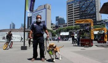 Invitan Agricultura y el Sistema de Transporte Colectivo Metro a adoptar perros