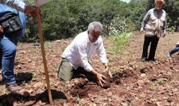 Más de 9 mil sembradoras y sembradores de Sinaloa en la Tercera Jornada Nacional de Siembra