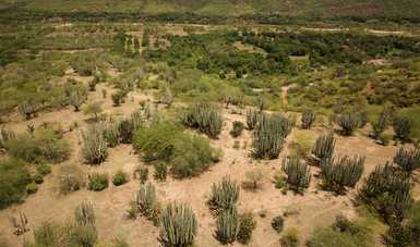 El Gobierno de México entrega a comunidad del Valle de Tehuacán-Cuicatlán el certificado de inscripción en la Lista del Patrimonio Mundial