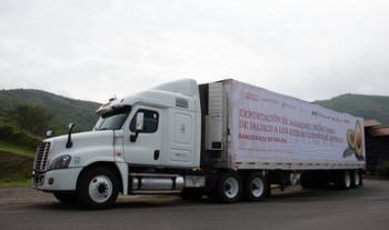 Inicia exportación de aguacate Hass de Jalisco a Estados Unidos