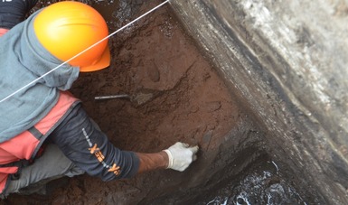 Expertos del INAH descubren evidencias de chinampas arqueológicas en Chalco, Estado de México