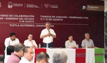 Secretaría de Bienestar y gobierno de Chiapas acuerdan fortalecer programa Sembrando Vida
